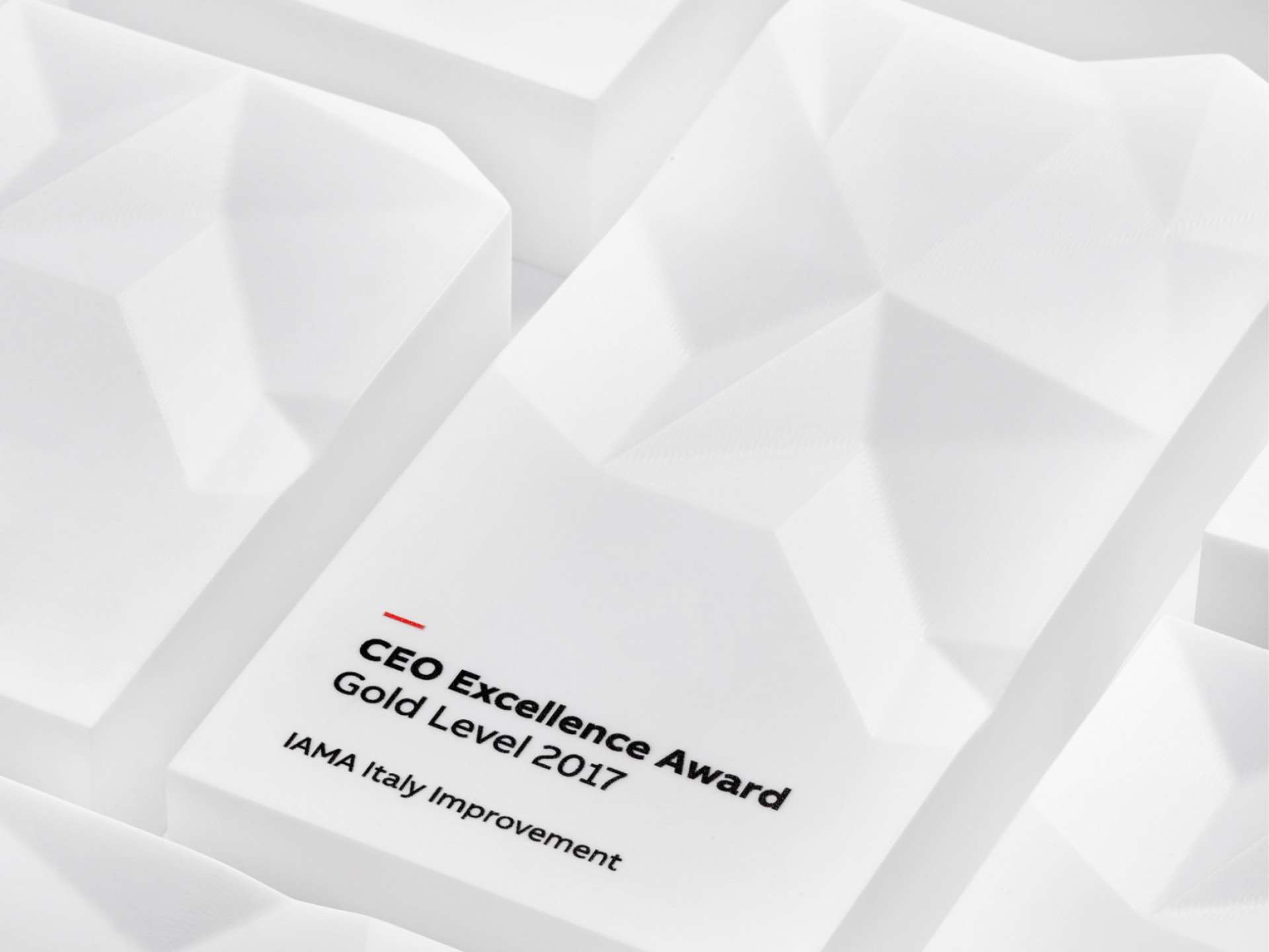 CEO Excellence Award
Gold Level 2017