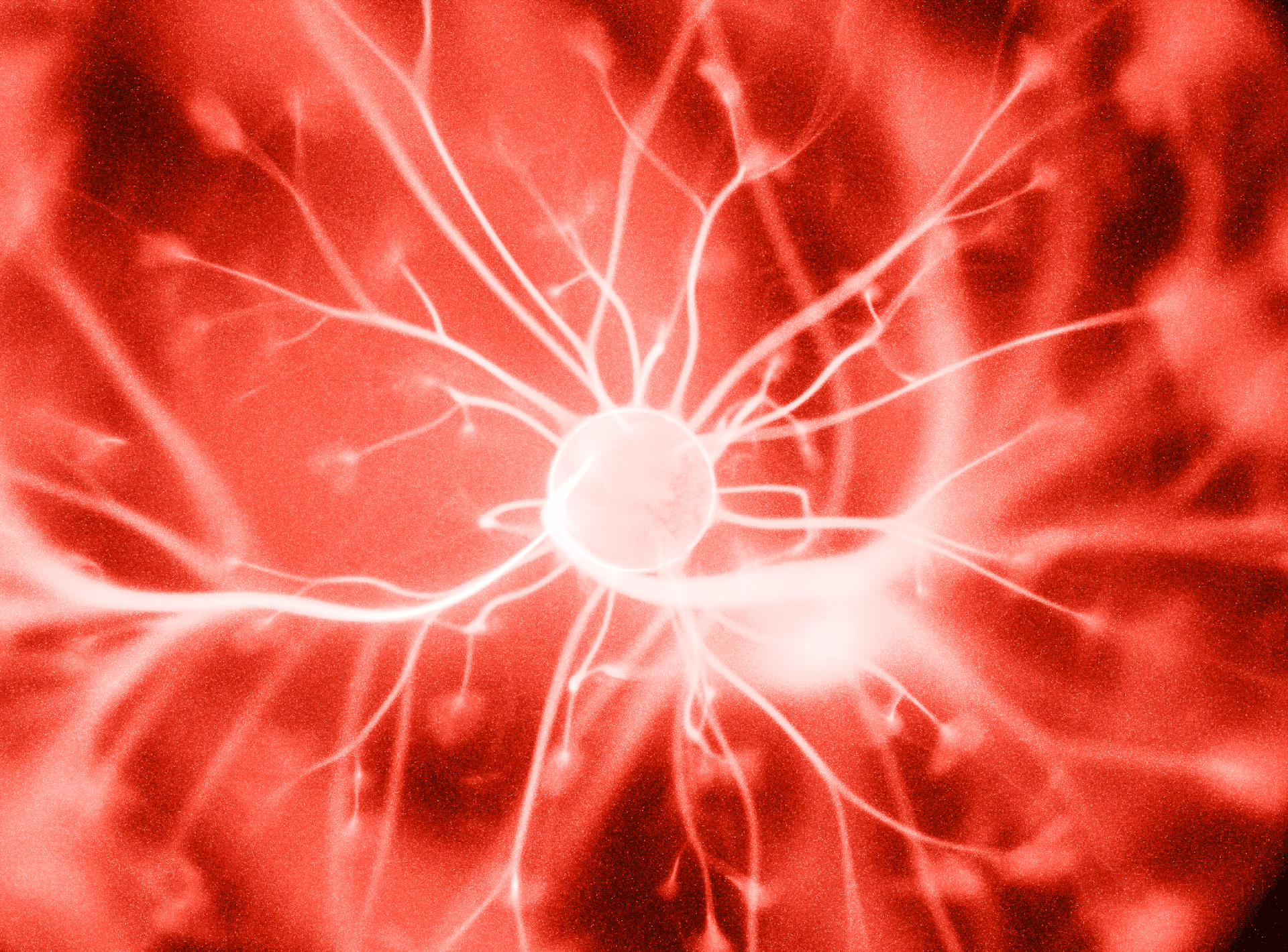 Brand management using AI – something to consider