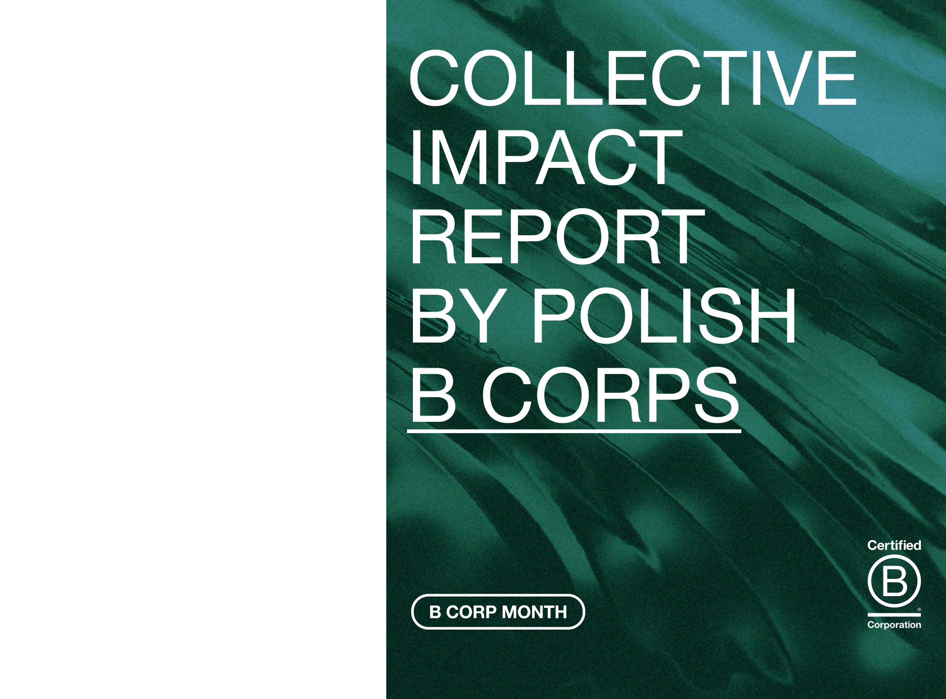 A collective milestone: Launching the first Polish B Corps Impact Report