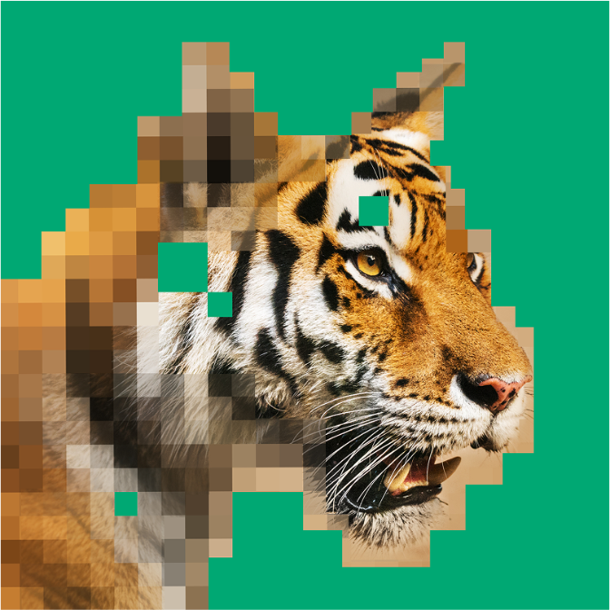 BNP Paribas Green Film Festival